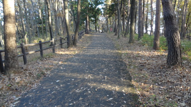 那須野が原公園 ランニング